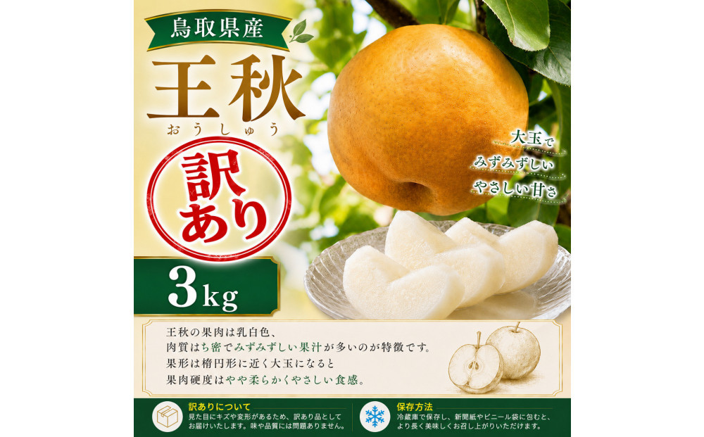 【訳あり】山根農園&nbsp;王秋&nbsp;3kg【2026年10月以降発送】