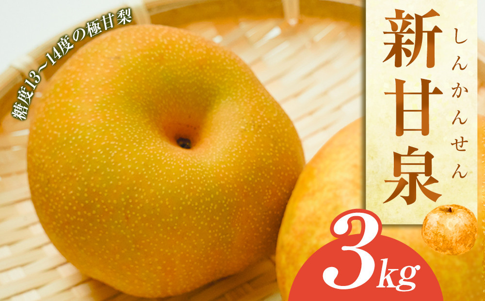 【先行予約】新甘泉&nbsp;梨&nbsp;3kg（JA）※2026年8月中旬～9月上旬頃に順次発送予定【梨&nbsp;なし&nbsp;ナシ&nbsp;しんかんせん&nbsp;鳥取県産&nbsp;くだもの&nbsp;果物&nbsp;フルーツ&nbsp;旬&nbsp;鳥取県&nbsp;北栄町&nbsp;おすすめ&nbsp;人気&nbsp;3キロ】