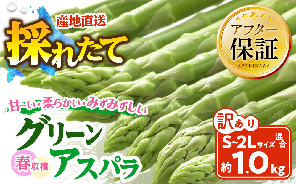 【訳あり】春収穫グリーンアスパラ&nbsp;S～2L混合サイズ&nbsp;約1kg&nbsp;（2027年6月上旬から発送開始予定)&nbsp;【&nbsp;アスパラ&nbsp;アスパラガス&nbsp;朝採り&nbsp;とれたて&nbsp;野菜&nbsp;旬&nbsp;保存&nbsp;産直&nbsp;旭川市&nbsp;北海道&nbsp;】_05955