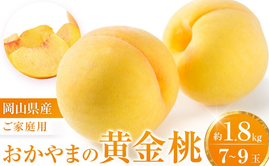 【先行受付】数量限定&nbsp;おかやまの黄金桃1.8kg&nbsp;(ご家庭用)【岡山&nbsp;もも&nbsp;桃&nbsp;おうごんとう&nbsp;ゴールデンピーチ&nbsp;果物&nbsp;フルーツ&nbsp;甘い&nbsp;おいしい&nbsp;人気&nbsp;おすすめ&nbsp;岡山県&nbsp;モモ&nbsp;家庭用】