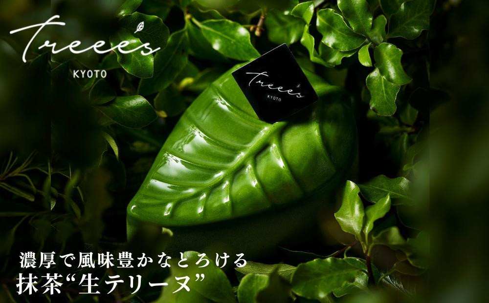 【TREEE’S】抹茶テリーフ｜京都&nbsp;スイーツ&nbsp;ブランド&nbsp;人気&nbsp;抹茶スイーツ&nbsp;[&nbsp;抹茶生テリーヌ&nbsp;リーフ型チョコテリーヌ&nbsp;ワインソムリエが作るチョコレート&nbsp;オーガニック&nbsp;グルメ&nbsp;おすすめ&nbsp;贅沢&nbsp;ご褒美&nbsp;お菓子&nbsp;洋菓子&nbsp;チョコ&nbsp;ギフト&nbsp;プレゼント&nbsp;贈答&nbsp;お取り寄せ&nbsp;通販&nbsp;送料無料&nbsp;］
