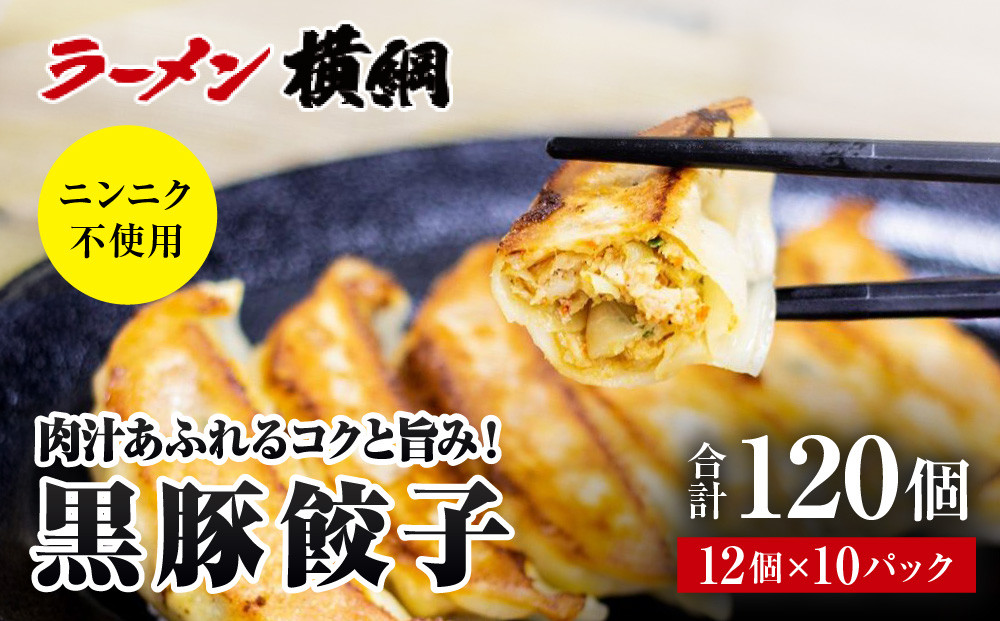 【ラーメン横綱】ニンニク不使用!&nbsp;黒豚餃子&nbsp;10パック120個&nbsp;京都&nbsp;&nbsp;有名店&nbsp;餃子&nbsp;大人気セット［&nbsp;肉汁あふれるコクと旨み&nbsp;小分け&nbsp;黒豚&nbsp;冷凍食品&nbsp;大容量&nbsp;おいしい&nbsp;簡単&nbsp;便利&nbsp;おすすめ&nbsp;中華&nbsp;中華料理&nbsp;お取り寄せ&nbsp;通販&nbsp;送料無料&nbsp;］