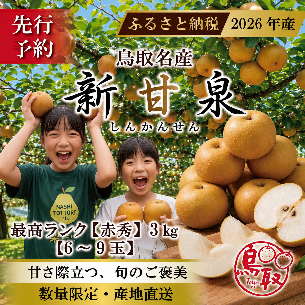 東商果樹園&nbsp;新甘泉(赤秀)3kg&nbsp;【鳥取県&nbsp;境港市】