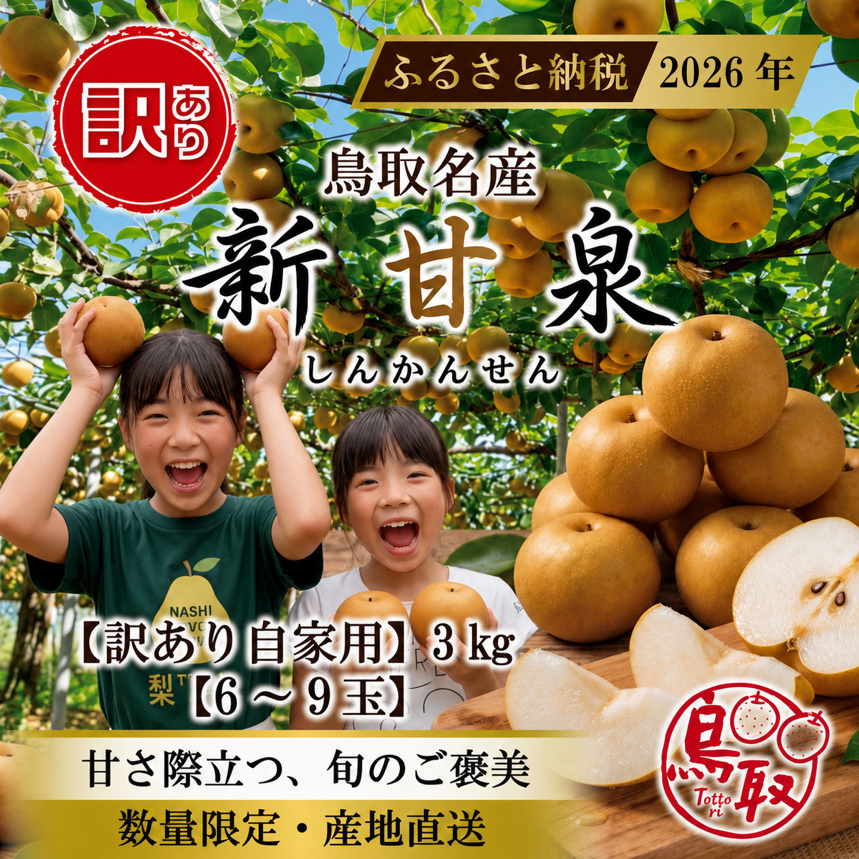 東商果樹園&nbsp;新甘泉(訳あり)3kg&nbsp;【鳥取県&nbsp;境港市】