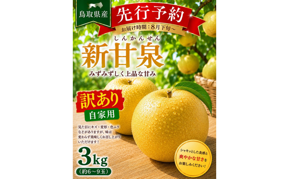 東商果樹園&nbsp;新甘泉(訳あり)3kg&nbsp;【鳥取県&nbsp;境港市】