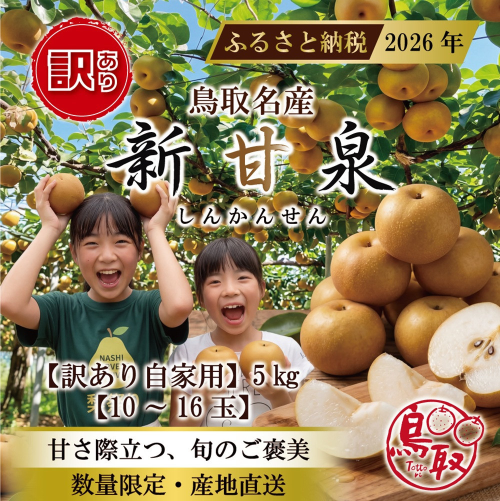 東商果樹園&nbsp;新甘泉(訳あり)5kg&nbsp;【鳥取県&nbsp;境港市】
