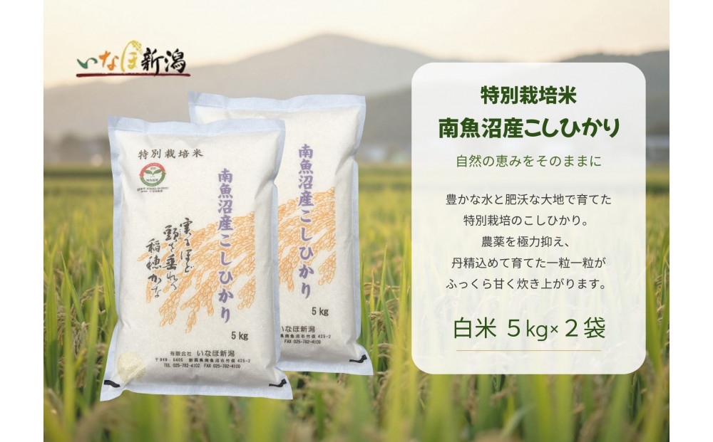 【令和8年産新米予約】&nbsp;南魚沼産コシヒカリ特別栽培米&nbsp;白米&nbsp;10kg(5kg×2)【2026年9月下旬より1ヶ月以内に順次発送予定】