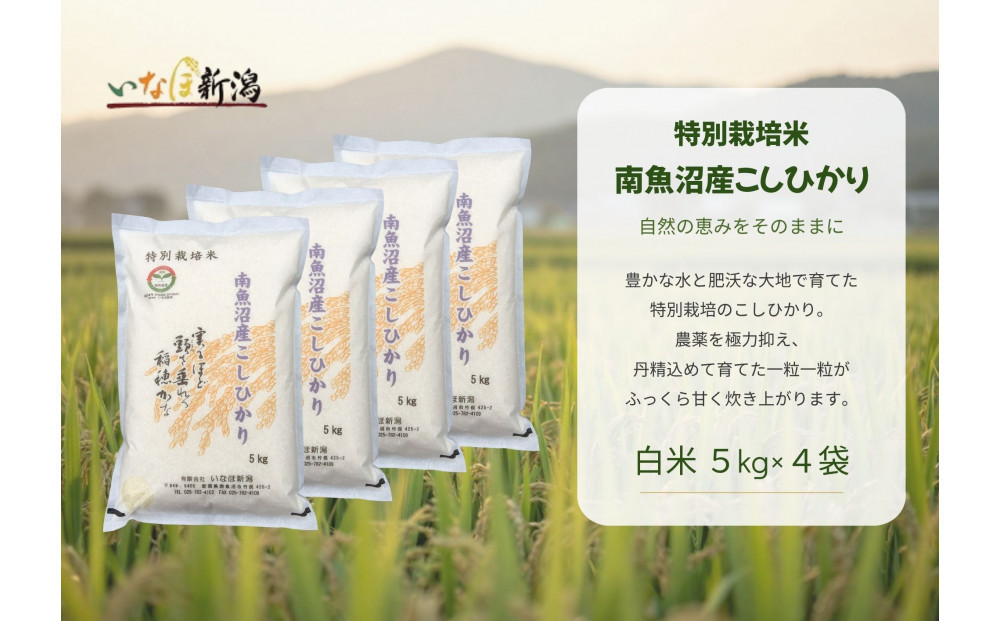 【令和8年産新米予約】&nbsp;南魚沼産コシヒカリ特別栽培米&nbsp;白米&nbsp;20kg(5kg×4)【2026年9月下旬より1ヶ月以内に順次発送予定】
