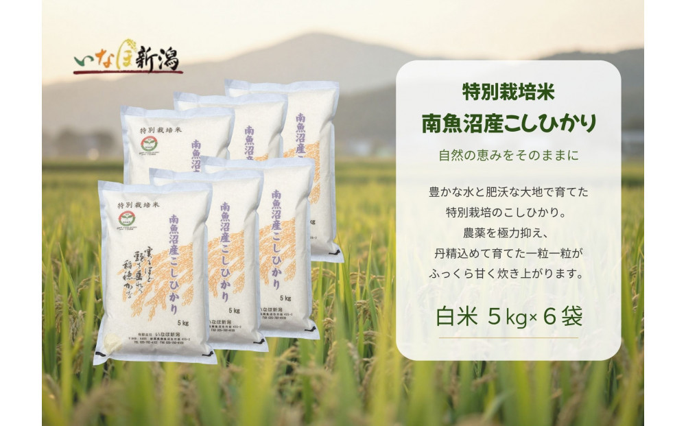【令和8年産新米予約】&nbsp;南魚沼産コシヒカリ特別栽培米&nbsp;白米&nbsp;30kg(5kg×6)【2026年9月下旬より1ヶ月以内に順次発送予定】