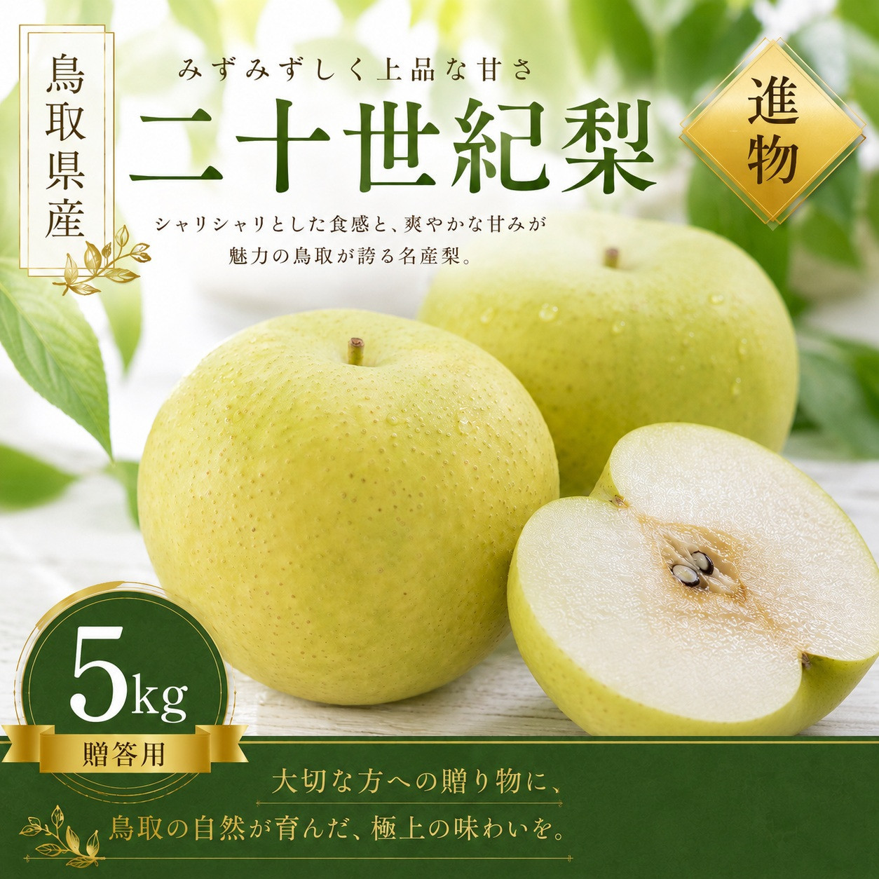 きしだ農園&nbsp;二十世紀梨&nbsp;進物5kg&nbsp;【鳥取県&nbsp;境港市】