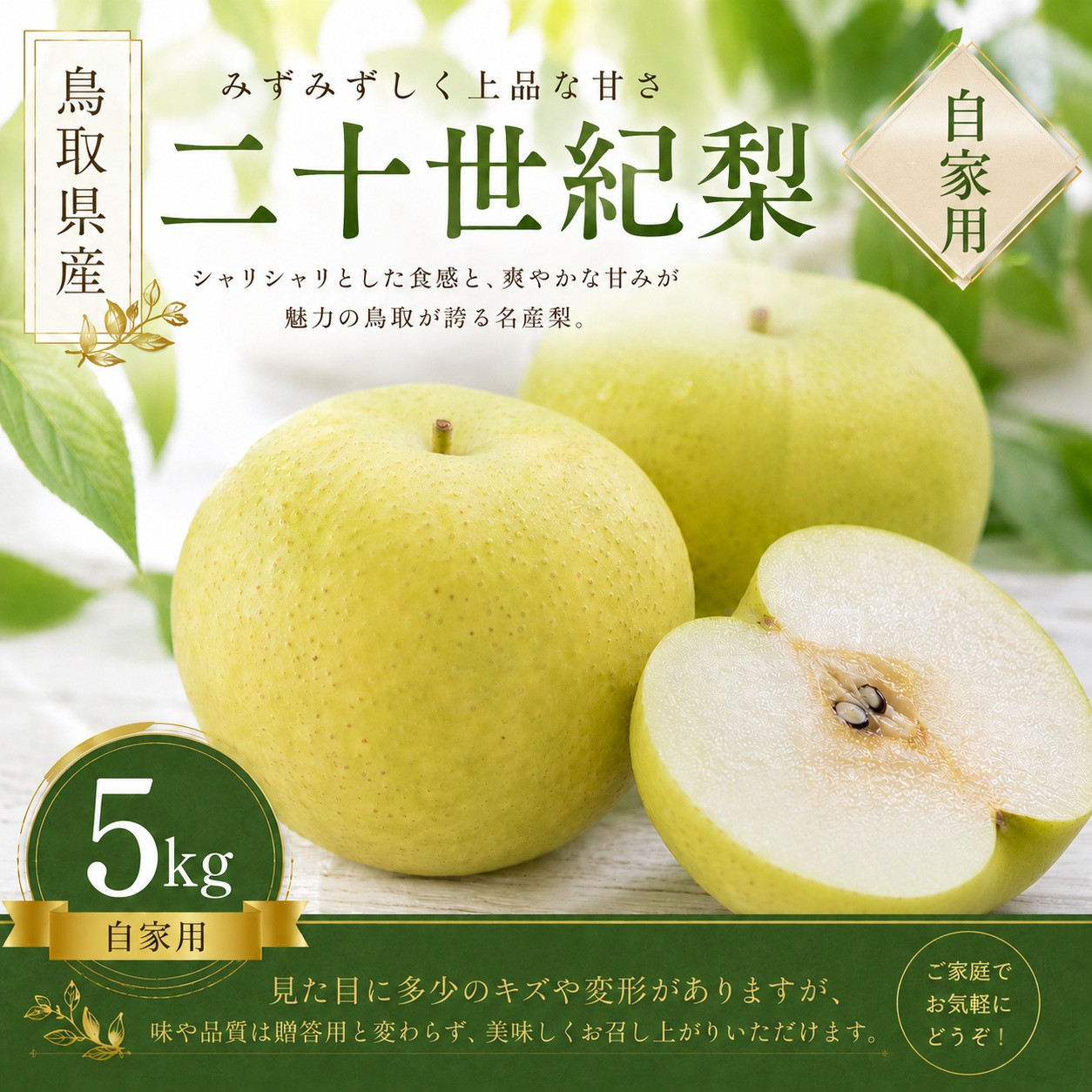 きしだ農園&nbsp;二十世紀梨&nbsp;自家用5kg&nbsp;【鳥取県&nbsp;境港市】