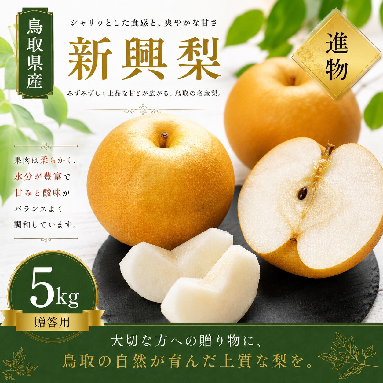 有梨の実石田&nbsp;新興梨&nbsp;進物5kg&nbsp;【鳥取県&nbsp;境港市】
