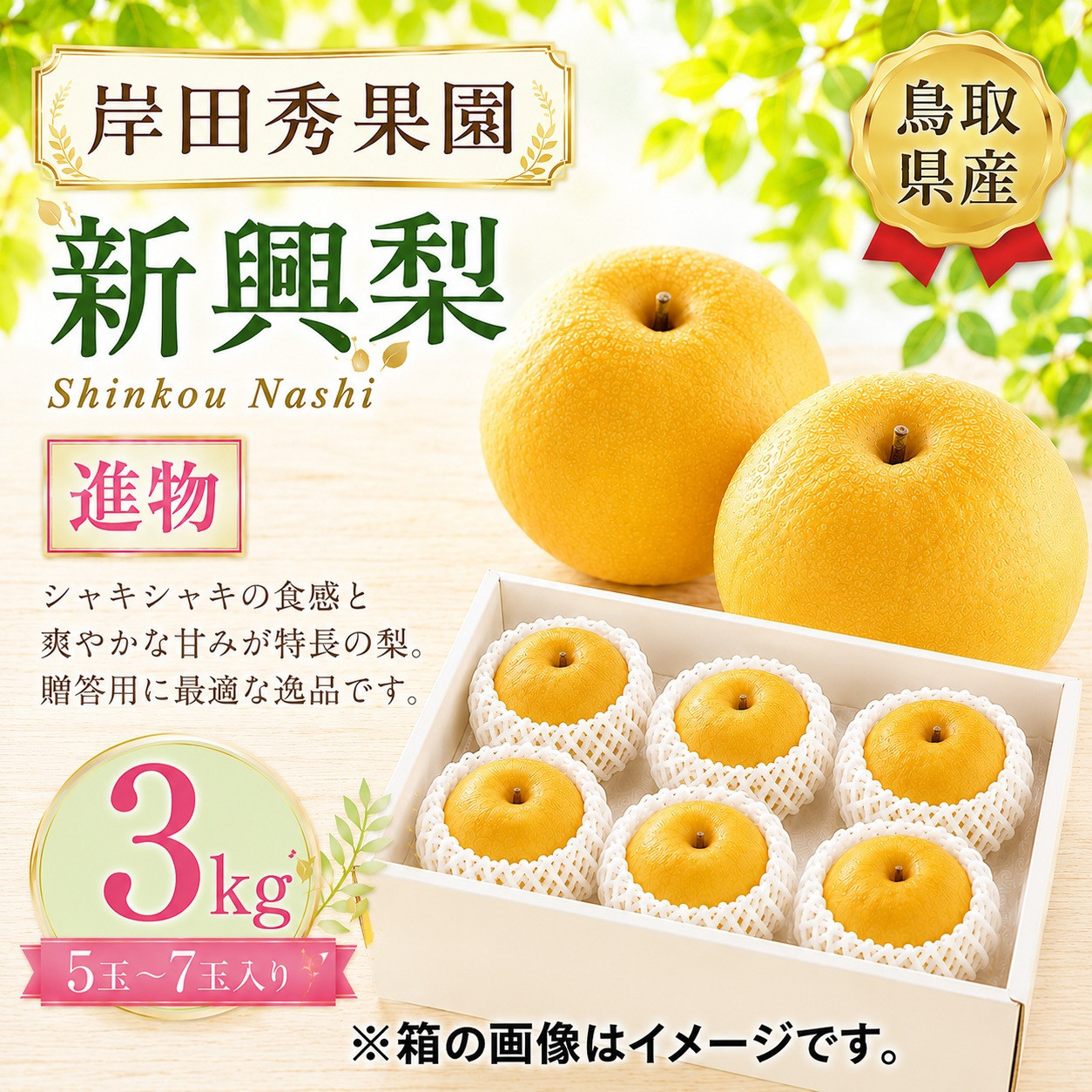 岸田秀果園&nbsp;新興梨&nbsp;進物用3kg&nbsp;【鳥取県&nbsp;境港市】