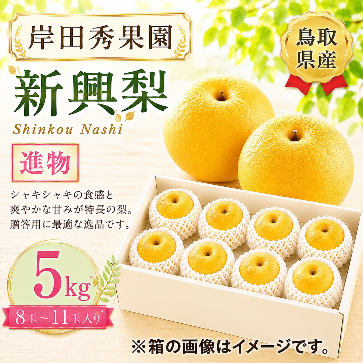 岸田秀果園&nbsp;新興梨&nbsp;進物5kg&nbsp;【鳥取県&nbsp;境港市】
