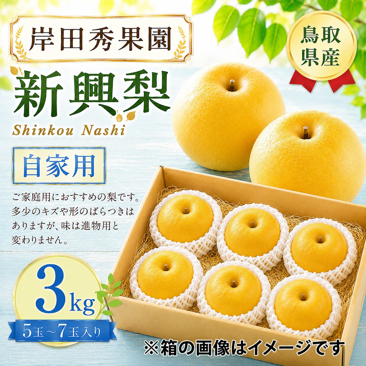 岸田秀果園&nbsp;新興梨(自家用)3kg&nbsp;【鳥取県&nbsp;境港市】