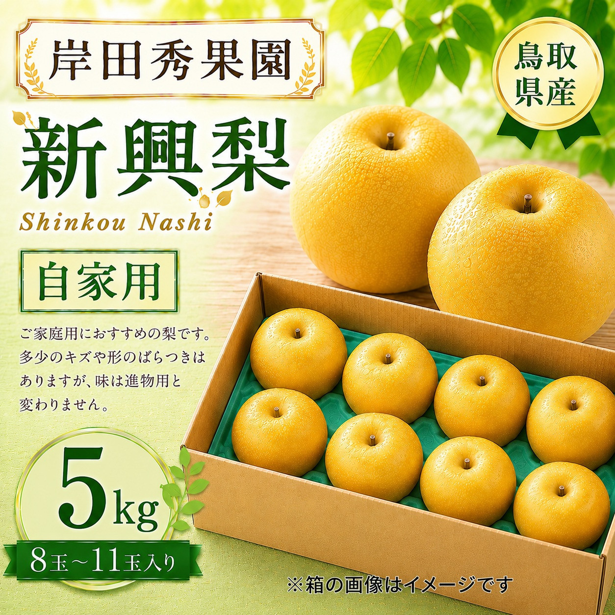 岸田秀果園&nbsp;新興梨(自家用)5kg&nbsp;【鳥取県&nbsp;境港市】
