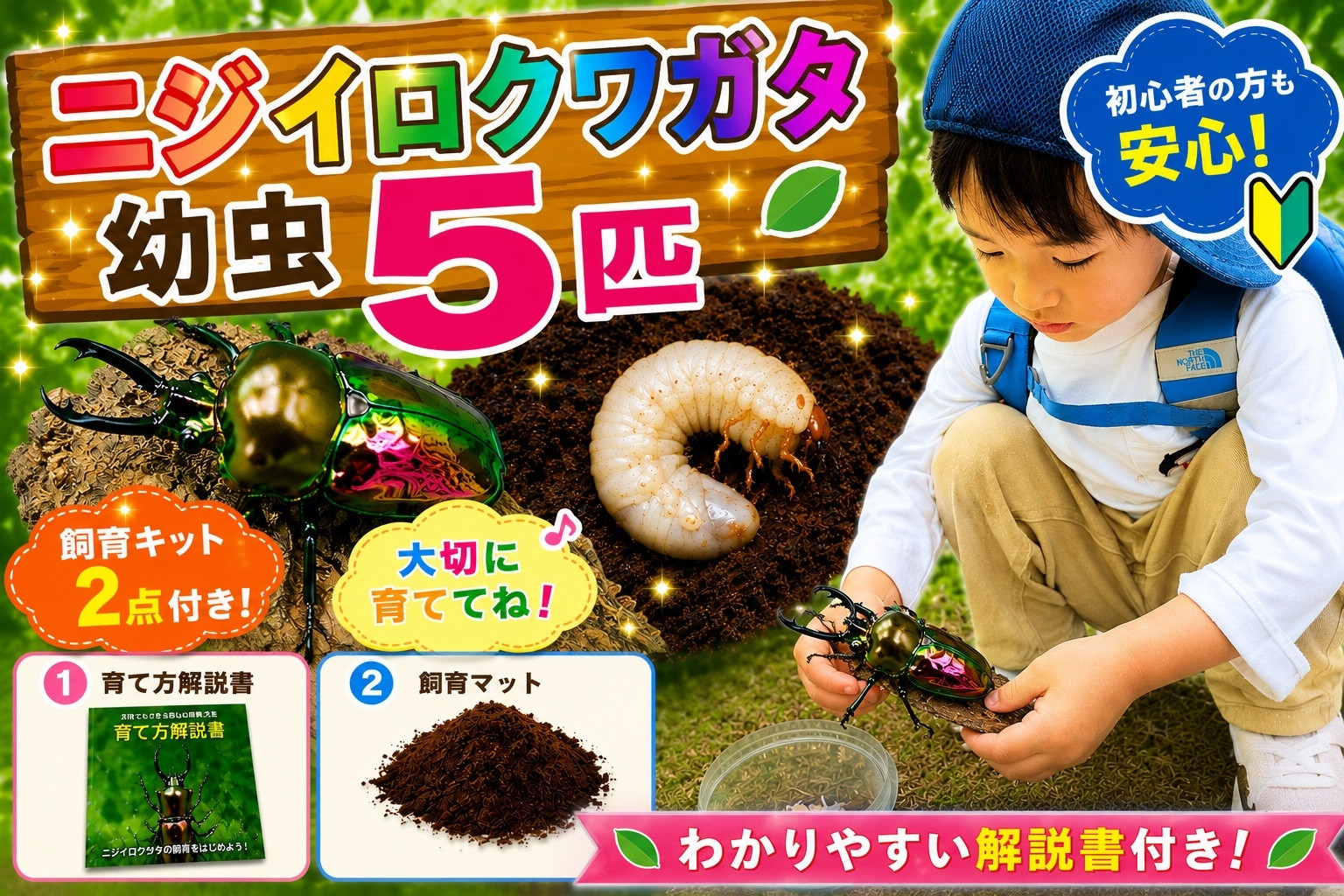 【虹色Farm】ニジイロクワガタ&nbsp;幼虫５匹&nbsp;～初心者の方も安心！飼育キット２点付(育て方解説書・飼育マット)｜京都&nbsp;クワガタ&nbsp;人気［&nbsp;クワガタ&nbsp;ニジイロクワガタ&nbsp;幼虫&nbsp;5匹&nbsp;飼育キット&nbsp;説明書付&nbsp;人気&nbsp;おすすめ&nbsp;自由研究&nbsp;夏休み&nbsp;体験&nbsp;自然&nbsp;昆虫&nbsp;虫&nbsp;お取り寄せ&nbsp;通販&nbsp;送料無料&nbsp;ふるさと納税&nbsp;］