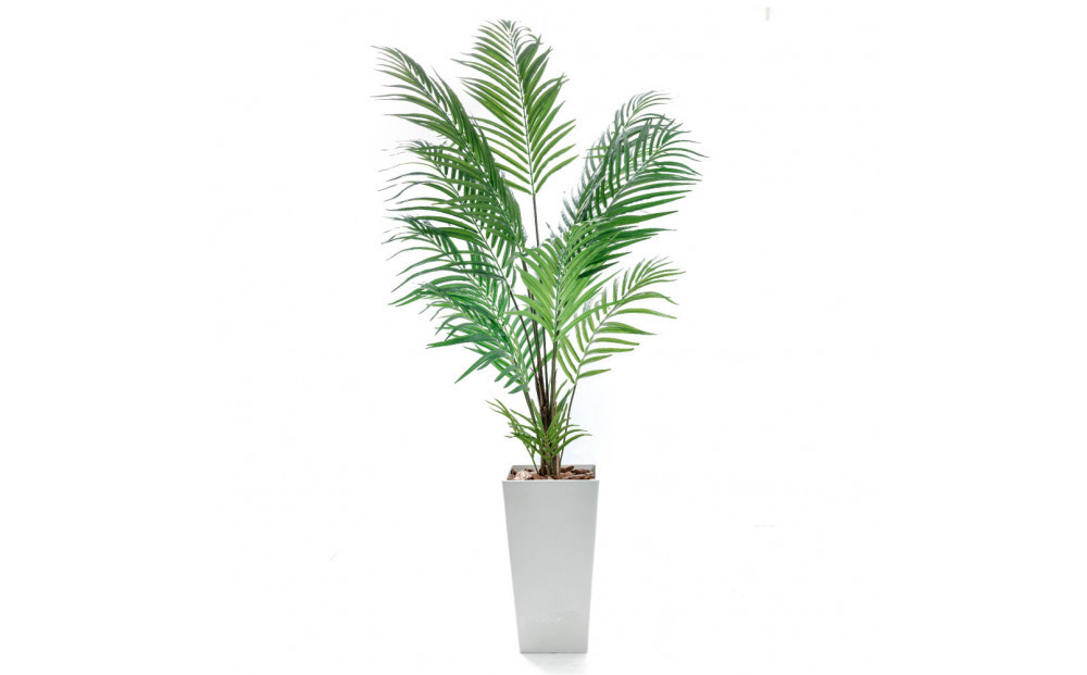 人工観葉植物&nbsp;アレカパーム175cm&nbsp;樹脂鉢Lサイズ白&nbsp;SC触媒加工済