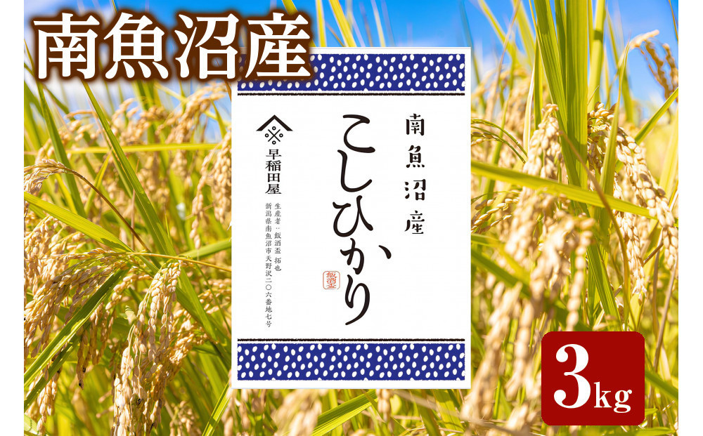【ふるさと納税】【令和8年産新米予約】南魚沼産コシヒカリ&nbsp;3kg　塩沢産コシヒカリ【銘柄米&nbsp;精米&nbsp;こしひかり&nbsp;コシヒカリ&nbsp;魚沼産&nbsp;新潟米&nbsp;お米&nbsp;米&nbsp;こめ】【2026年10月中旬より1ヵ月以内に順次発送予定】