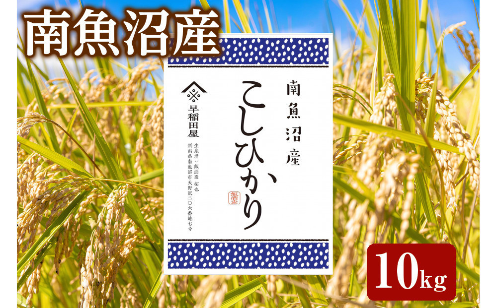 【ふるさと納税】【令和8年産新米予約】特別栽培米　南魚沼産コシヒカリ&nbsp;10kg　塩沢産コシヒカリ【銘柄米&nbsp;精米&nbsp;こしひかり&nbsp;コシヒカリ&nbsp;魚沼産&nbsp;新潟米&nbsp;お米&nbsp;米&nbsp;こめ】【2026年10月中旬より1ヵ月以内に順次発送予定】