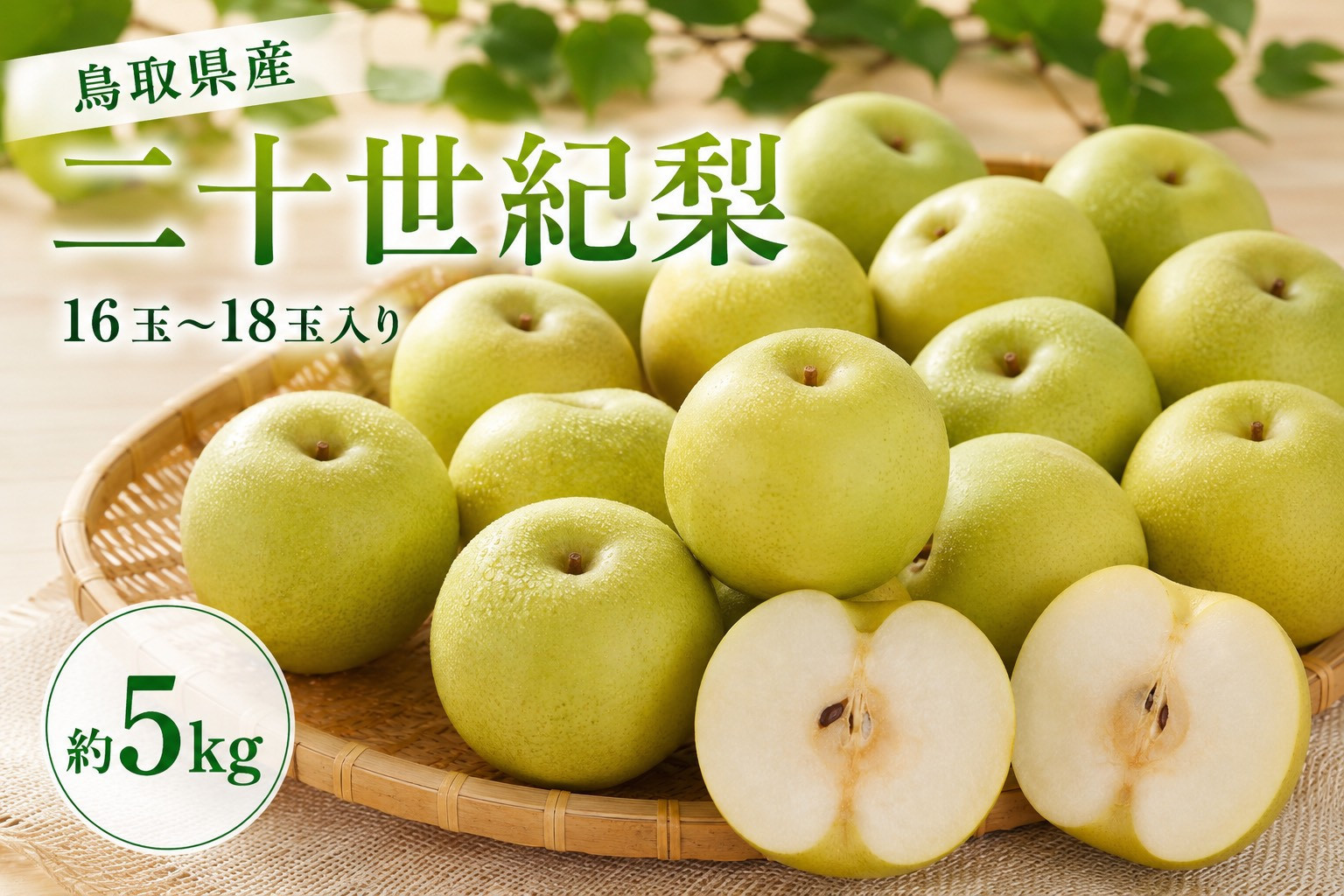 鳥取県産&nbsp;二十世紀梨&nbsp;約5キロ【鳥取県&nbsp;境港市】