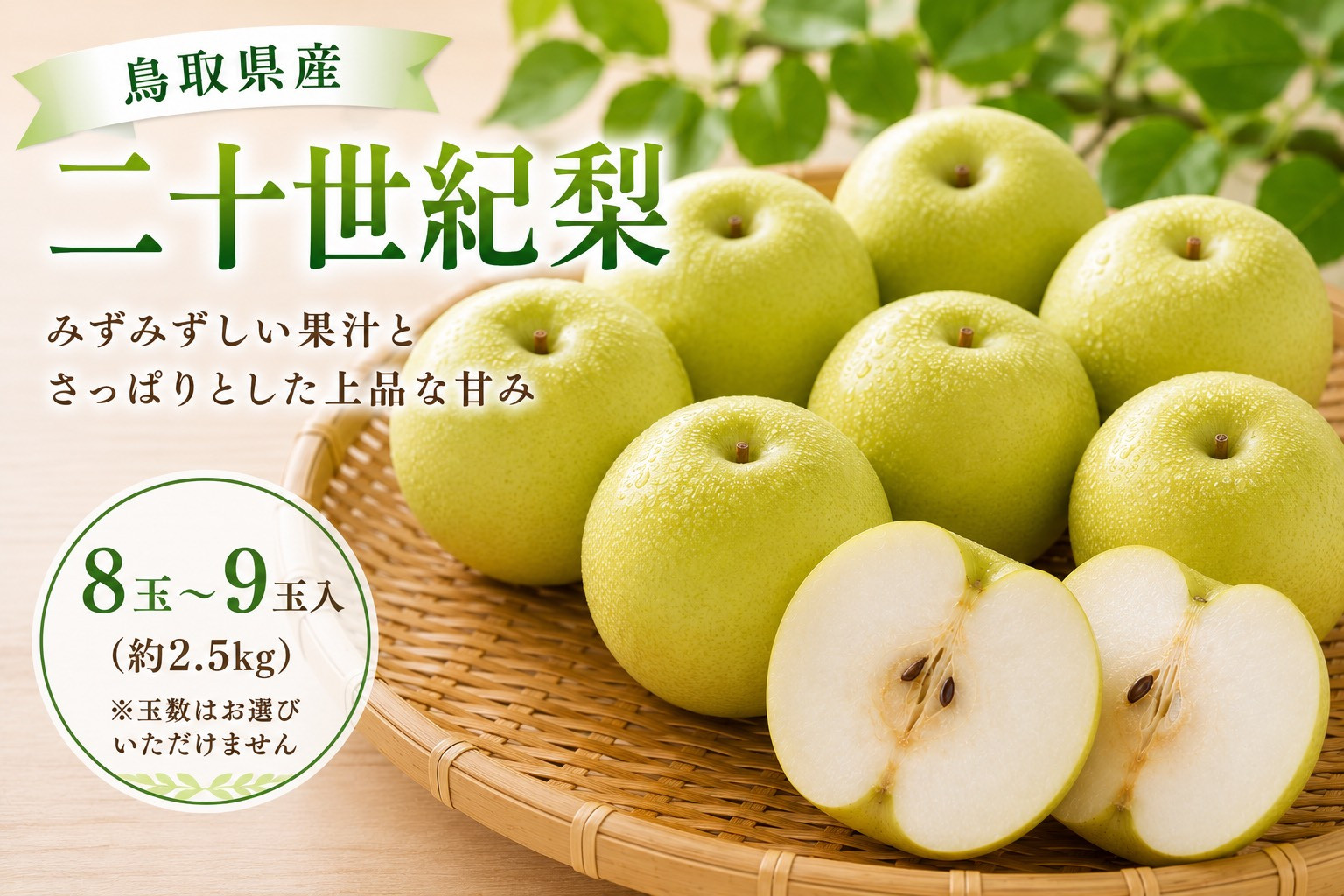 鳥取県産&nbsp;二十世紀梨&nbsp;約2.5キロ【鳥取県&nbsp;境港市】