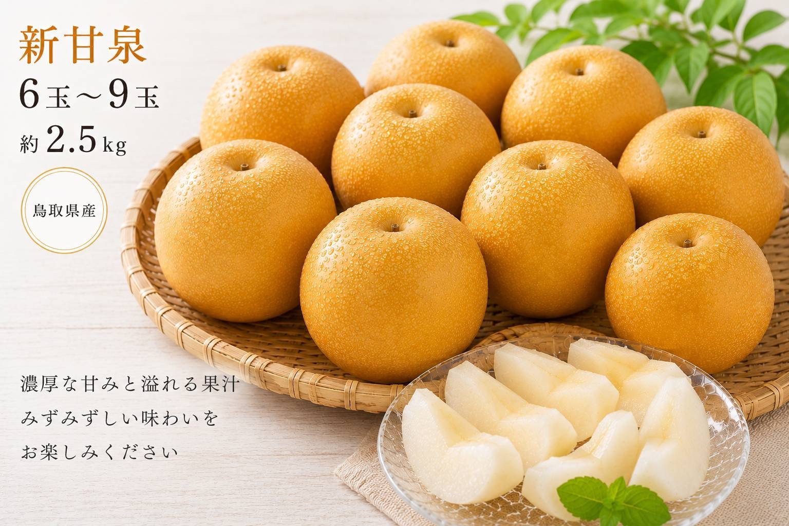鳥取県産&nbsp;新甘泉&nbsp;約2.5キロ【鳥取県&nbsp;境港市】