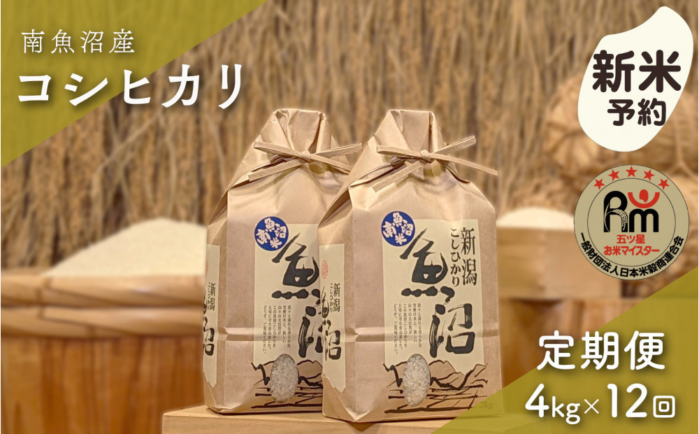 【令和8年産新米予約】「五つ星お米マイスター」の南魚沼産コシヒカリ　精米４kg（２kg×２個）×12回（毎月定期便）【2026年10月上旬より1ヶ月以内に順次発送予定】