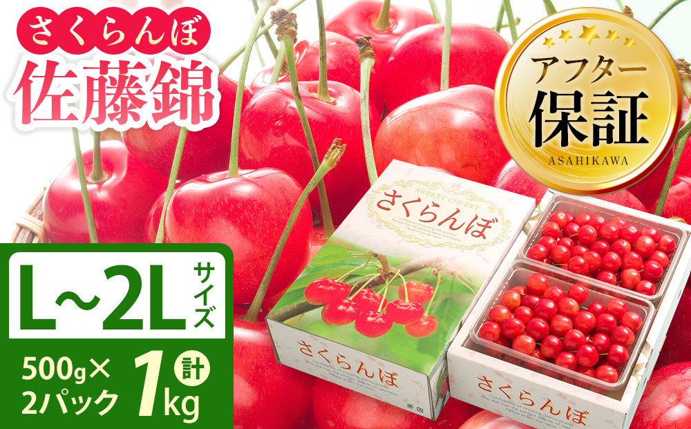 さくらんぼ佐藤錦&nbsp;秀品&nbsp;1kg(500g×2パック)&nbsp;L~2Lサイズ&nbsp;手詰め&nbsp;(2026年7月中旬から発送開始予定)_06075