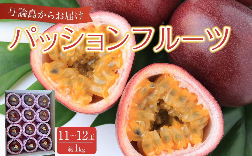 与論島産パッションフルーツ11玉～12玉　約1ｋｇ【先行予約：2026年6月中旬以降発送】|&nbsp;果物&nbsp;フルーツ&nbsp;パッションフルーツ&nbsp;1kg&nbsp;人気&nbsp;おすすめ&nbsp;おすすめフルーツ&nbsp;期間限定&nbsp;鹿児島県&nbsp;与論町【ポイント交換専用】