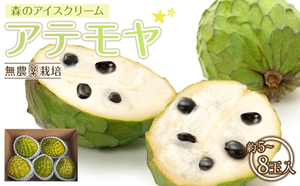 【先行予約】※数量限定　農薬未使用　森のアイスクリーム　アテモヤ2kg～2.4kg（凡そ5玉～8玉）【ポイント交換専用】