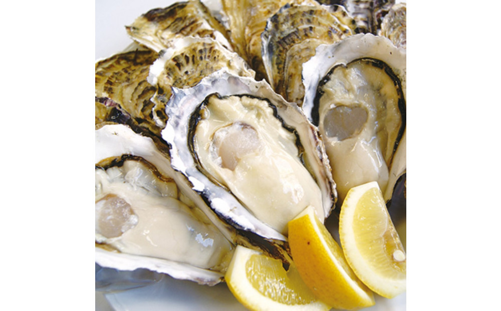 【マルヒロ水産】広島県産殻付かき&nbsp;20個　11月下旬から発送