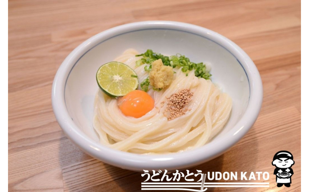 半生うどん8食セット（ボトルだし醤油付）