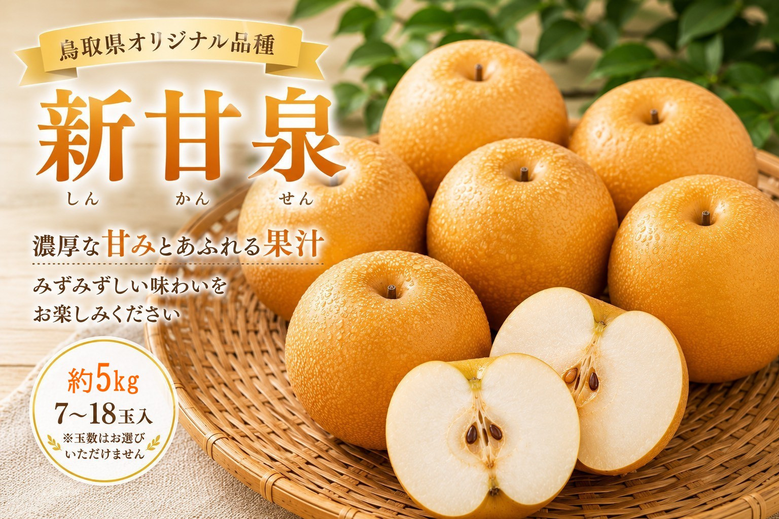 鳥取県産&nbsp;新甘泉&nbsp;約5キロ【鳥取県&nbsp;境港市】