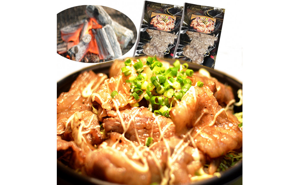 大川新名物！！ぎゃん丼(炭火豚丼)の具冷食2パック【メディア出演実績多数！！】