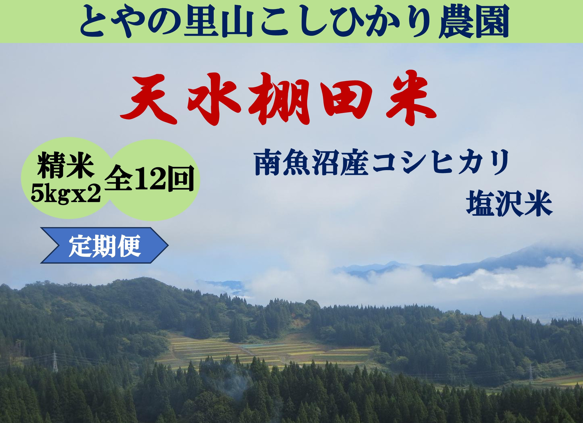 令和8年産新米予約定期便【天水棚田米】特別栽培米雪蔵熟成塩沢産コシヒカリ精米10kg12回「とやの里山継承プロジェクト」【定期便&nbsp;銘柄米&nbsp;精米&nbsp;こしひかり&nbsp;コシヒカリ&nbsp;魚沼産&nbsp;新潟米】【2026年10月下旬より順次発送予定】