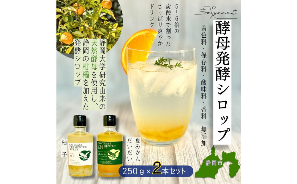 大学研究の天然酵母使用&nbsp;お酒でもジュースでもない新感覚発酵シロップ　250ｇｘ2本