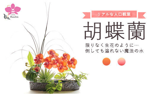 胡蝶蘭のウォーターアレンジ/オレンジ