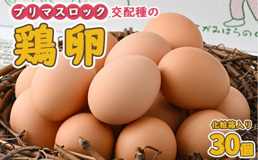 たまご&nbsp;卵&nbsp;プリマスロック&nbsp;交配種の&nbsp;卵&nbsp;化粧箱入り30個&nbsp;神奈川&nbsp;相模原&nbsp;田中養鶏場