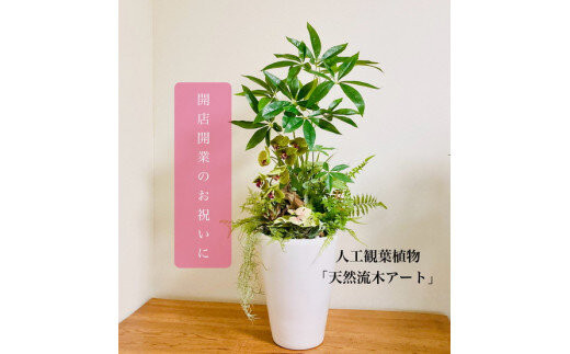 人工観葉植物&nbsp;天然流木アート『パキラ/陶器』