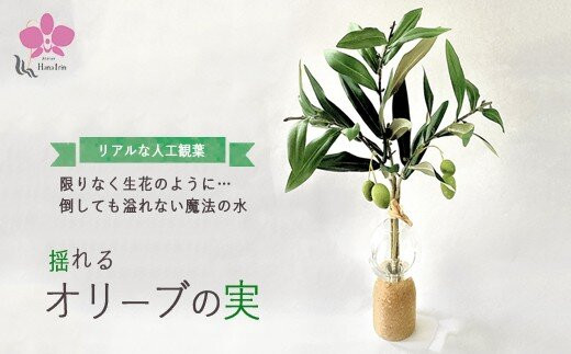 倒してもこぼれないお水&nbsp;癒しのグリーン「揺れるオリーブの実」光触媒