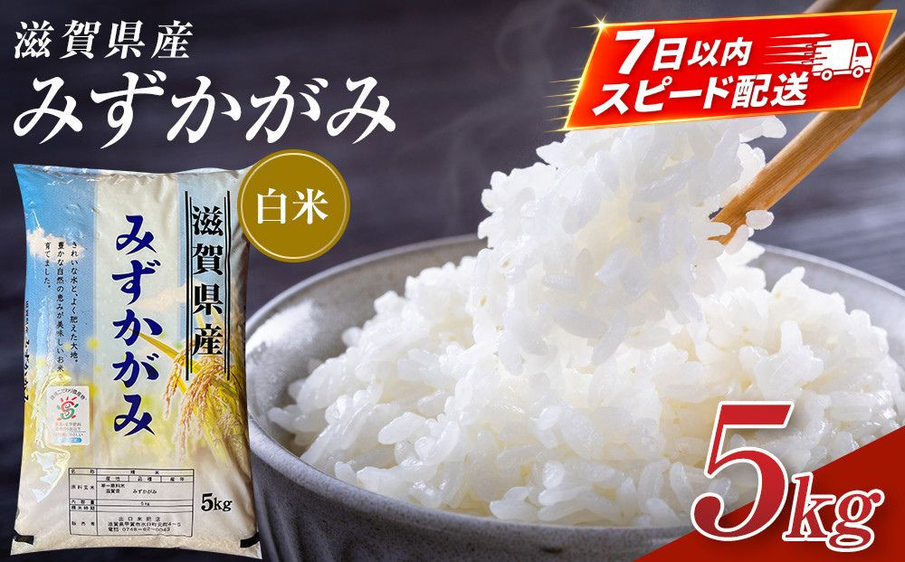 【令和7年産】近江米みずかがみ白米5kg