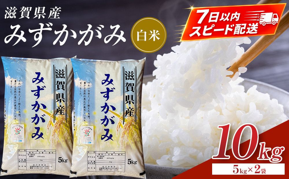【令和7年産】近江米みずかがみ白米10kg（5kg×2袋）