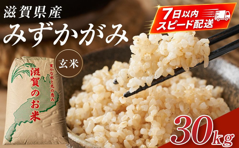 【令和7年産】近江米みずかがみ玄米30kg