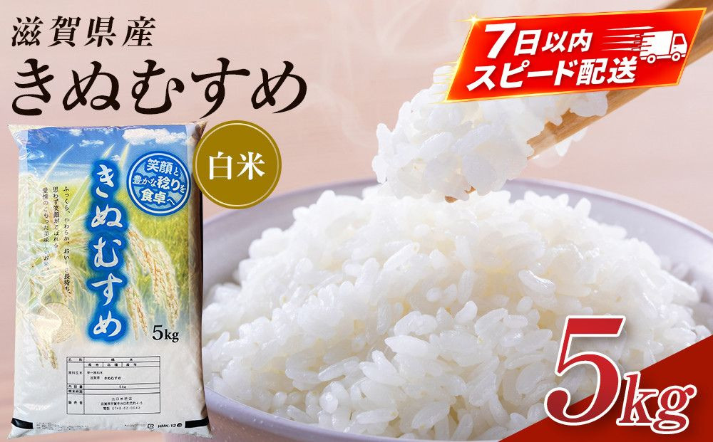 【令和7年産】近江米きぬむすめ白米5kg