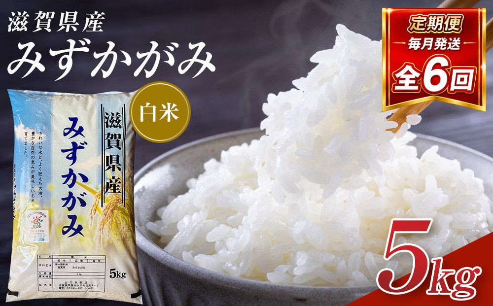 【令和8年産&nbsp;新米&nbsp;先行予約】近江米みずかがみ白米5kg×6回定期便※2026年9月～発送