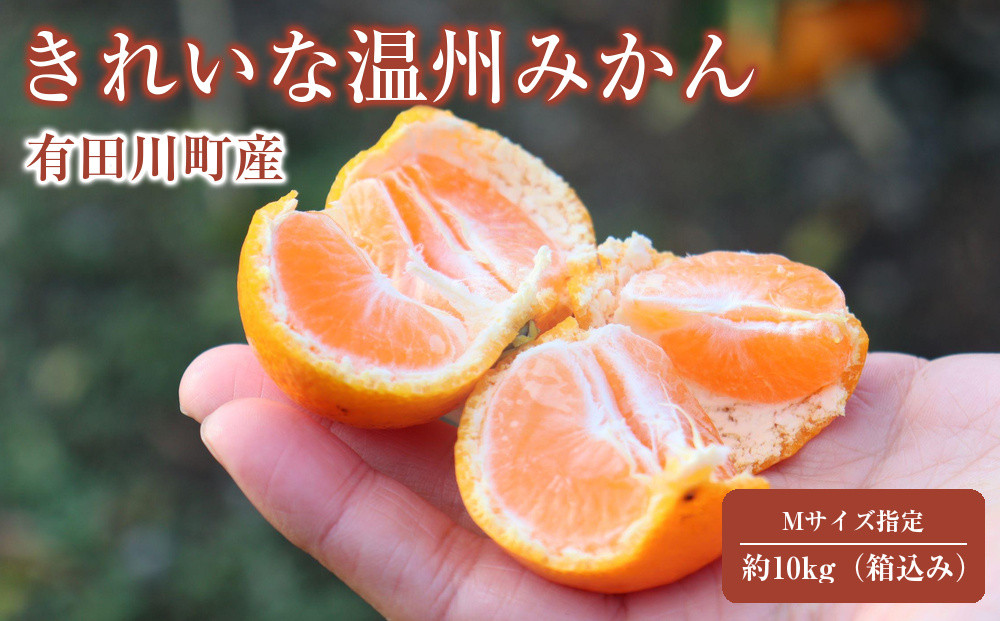 12/25までにご入金確認分は年内発送確定！きれいな温州みかん&nbsp;寄贈用にお勧め&nbsp;箱込み&nbsp;10kg&nbsp;(Mサイズ指定)