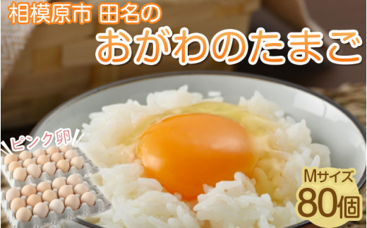 相模原市田名のおがわのたまご　ピンク卵（Mサイズ）75個＋割れ補償5個入り（計80個）|卵&nbsp;鶏卵&nbsp;玉子&nbsp;たまご&nbsp;生卵&nbsp;国産&nbsp;濃厚&nbsp;コク&nbsp;旨味&nbsp;旨み