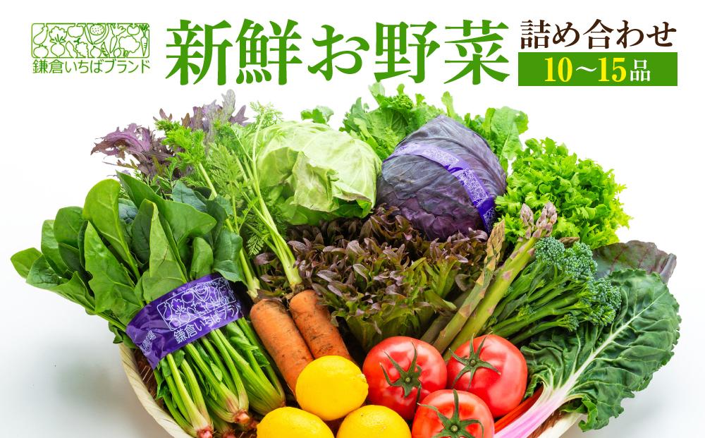 「鎌倉いちばブランド」新鮮お野菜詰め合わせセット&nbsp;10～15品&nbsp;|&nbsp;人気&nbsp;野菜&nbsp;詰合せ&nbsp;詰め合わせ&nbsp;セット&nbsp;新鮮野菜&nbsp;詰め合わせセット&nbsp;野菜セット&nbsp;季節の野菜&nbsp;鎌倉野菜&nbsp;地元産&nbsp;お取り寄せ&nbsp;おすすめ&nbsp;送料無料&nbsp;神奈川&nbsp;鎌倉【ポイント交換専用】