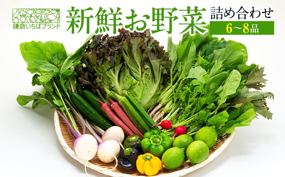 「鎌倉いちばブランド」新鮮お野菜詰め合わせセット&nbsp;&nbsp;6～8品&nbsp;｜&nbsp;人気&nbsp;野菜&nbsp;詰合せ&nbsp;詰め合わせ&nbsp;セット&nbsp;新鮮野菜&nbsp;詰め合わせセット&nbsp;野菜セット&nbsp;季節の野菜&nbsp;鎌倉野菜&nbsp;地元産&nbsp;お取り寄せ&nbsp;おすすめ&nbsp;送料無料&nbsp;神奈川&nbsp;鎌倉【ポイント交換専用】